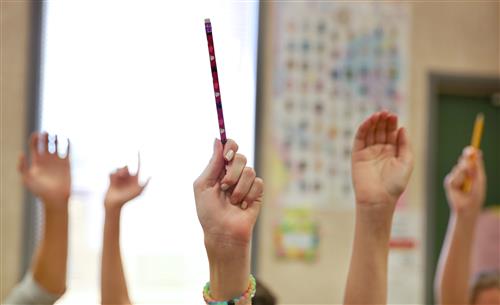 School Enrollment School Enrollment